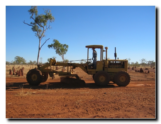 19 Lew beim Strasse glattbuegeln